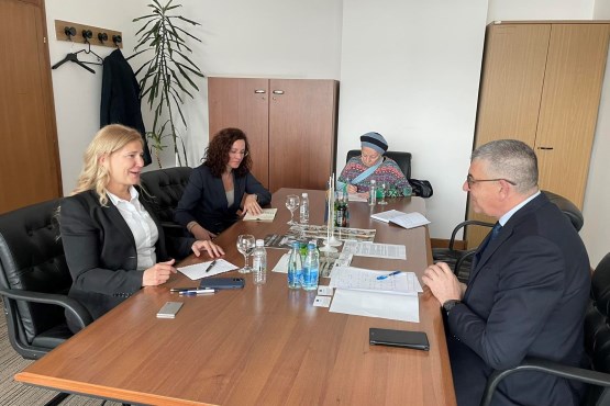 The Chair of the Caucus of People and Justice in the House of Representatives of the PABiH Nihad Omerović spoke with the head of the Political department of the Office of the EU Special Representative